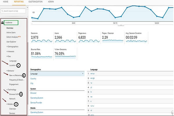 Audience report from Google Analytics