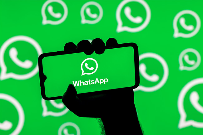 WhatsApp's Marketing: Grow Your Business with this Ultimate Guide